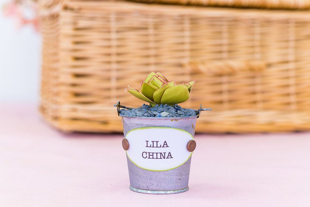 Sharon Callis - Sensational Succulents - Lila China