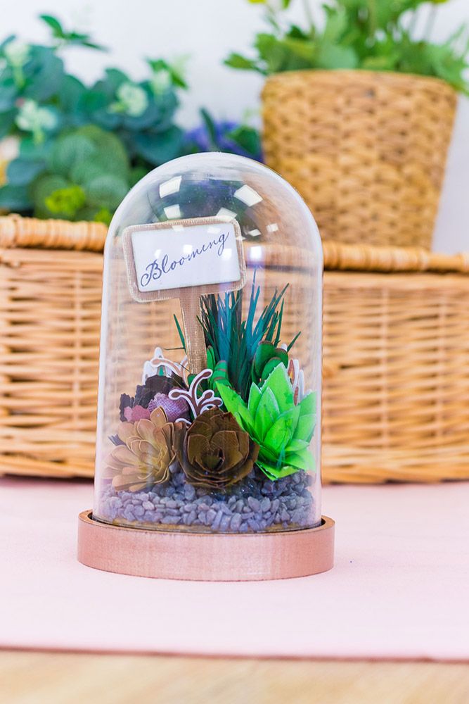 Sharon Callis - Sensational Succulents - Plant Pot Poke