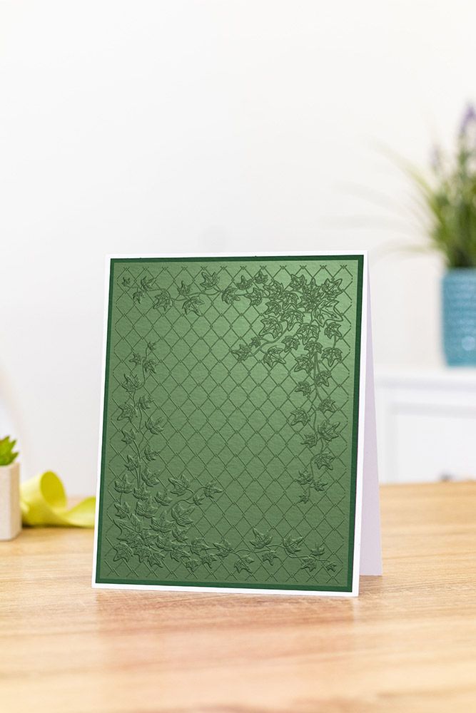 Gemini 5 x 7 3D Embossing Folder - Climbing Ivy