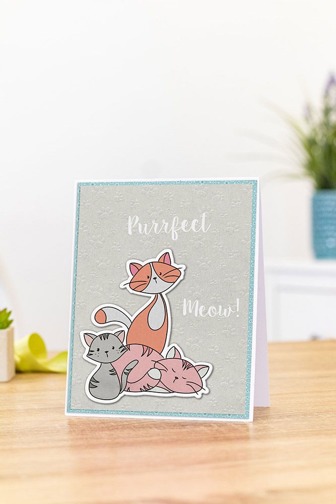 Nitwits - Pawsitivity - Stamp & Die Set - Purrfect