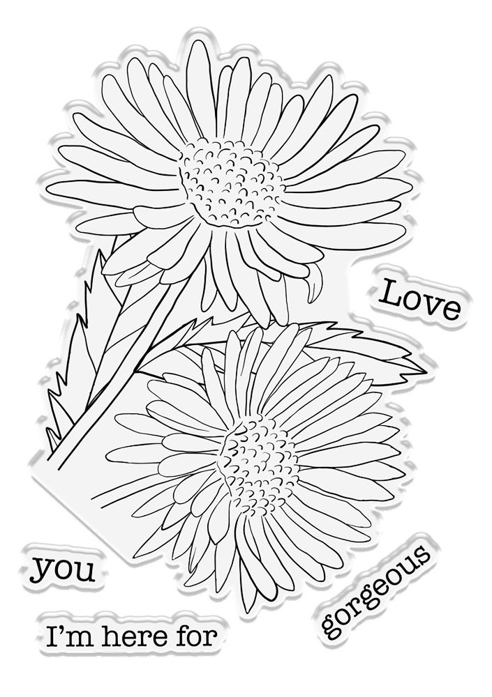 Natures Garden Delightful Daisies Stamp and Die - Daisy Bloom