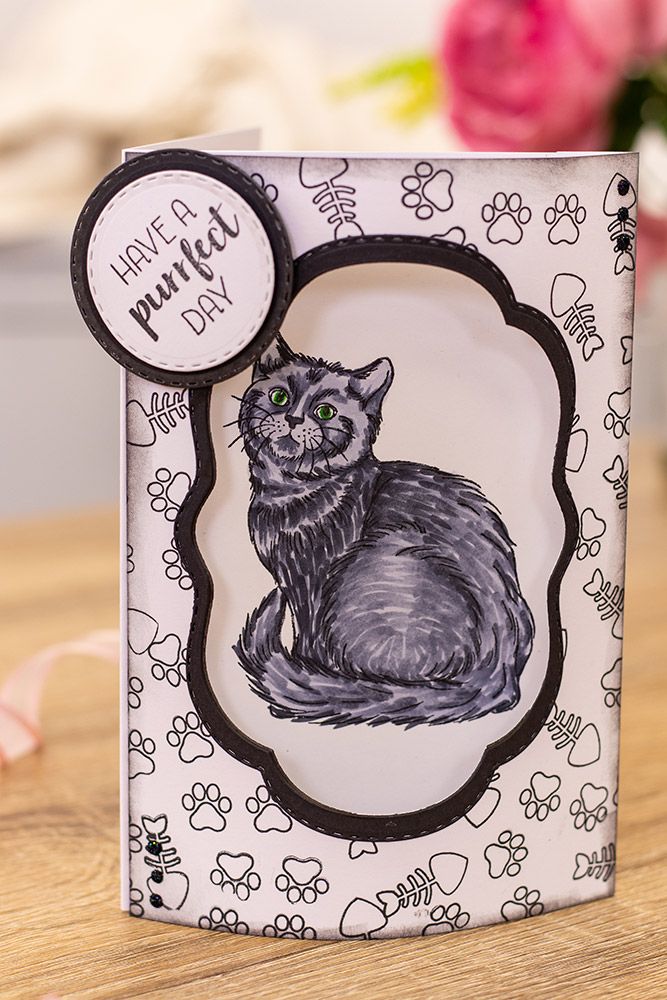 Crafters Companion - Photopolymer Stamp - A Purrfect Day