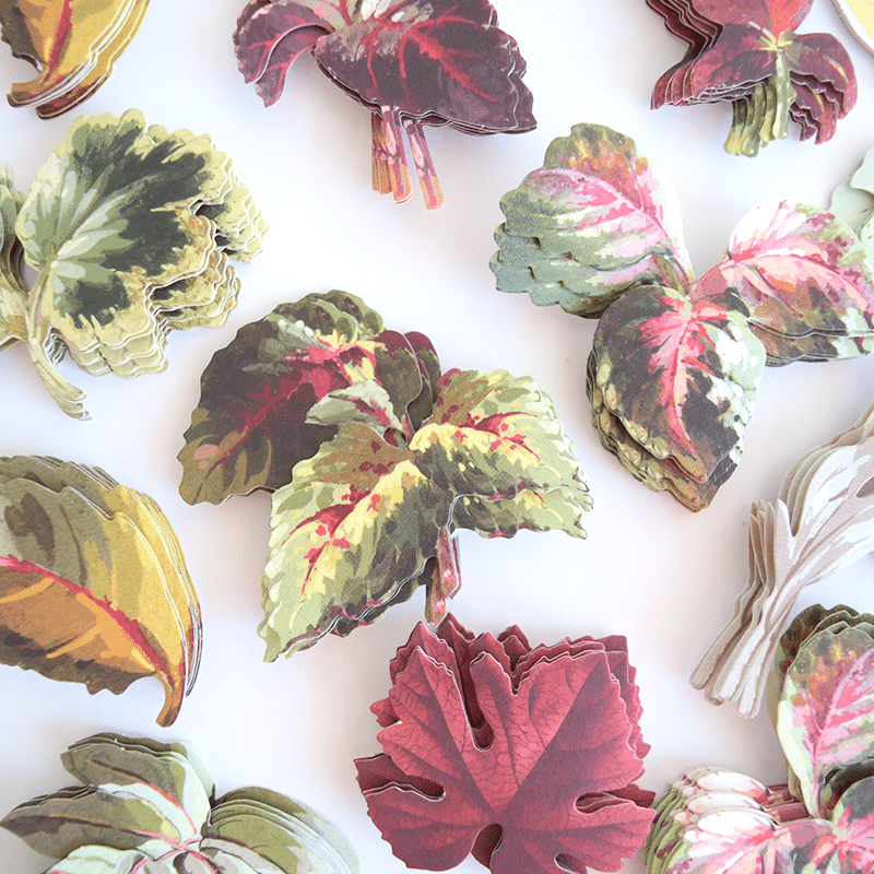 Foliage Stickers
