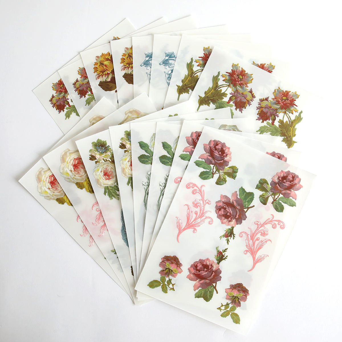Francesca Rub On Transfers