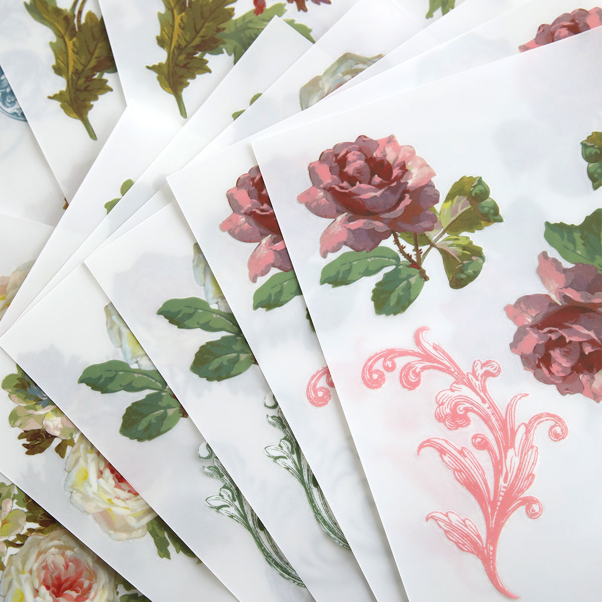 Francesca Rub On Transfers