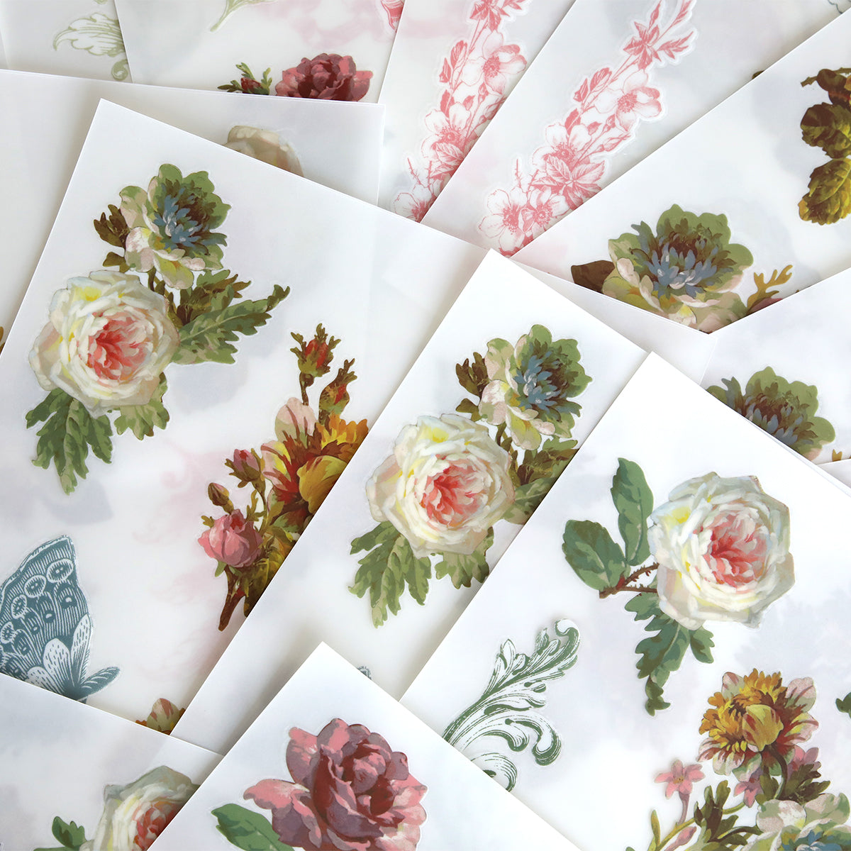 Francesca Rub On Transfers