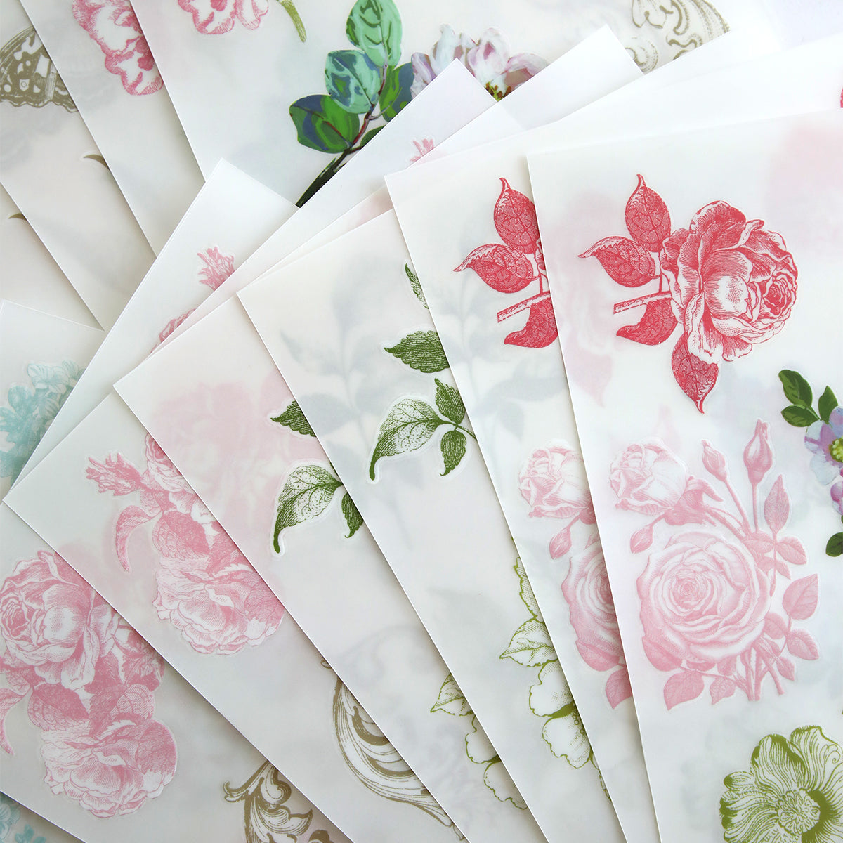 Antique Botanical Rub On Transfers