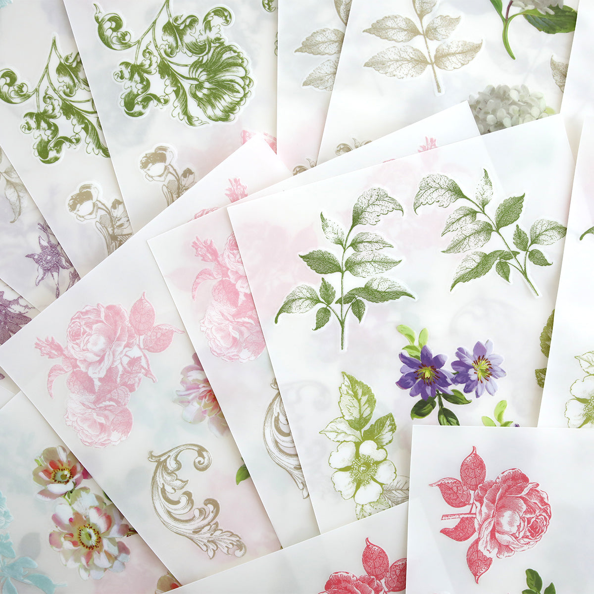 Antique Botanical Rub On Transfers
