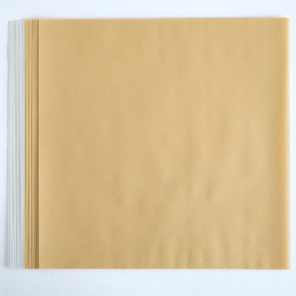 Shimmer Vellum Papers