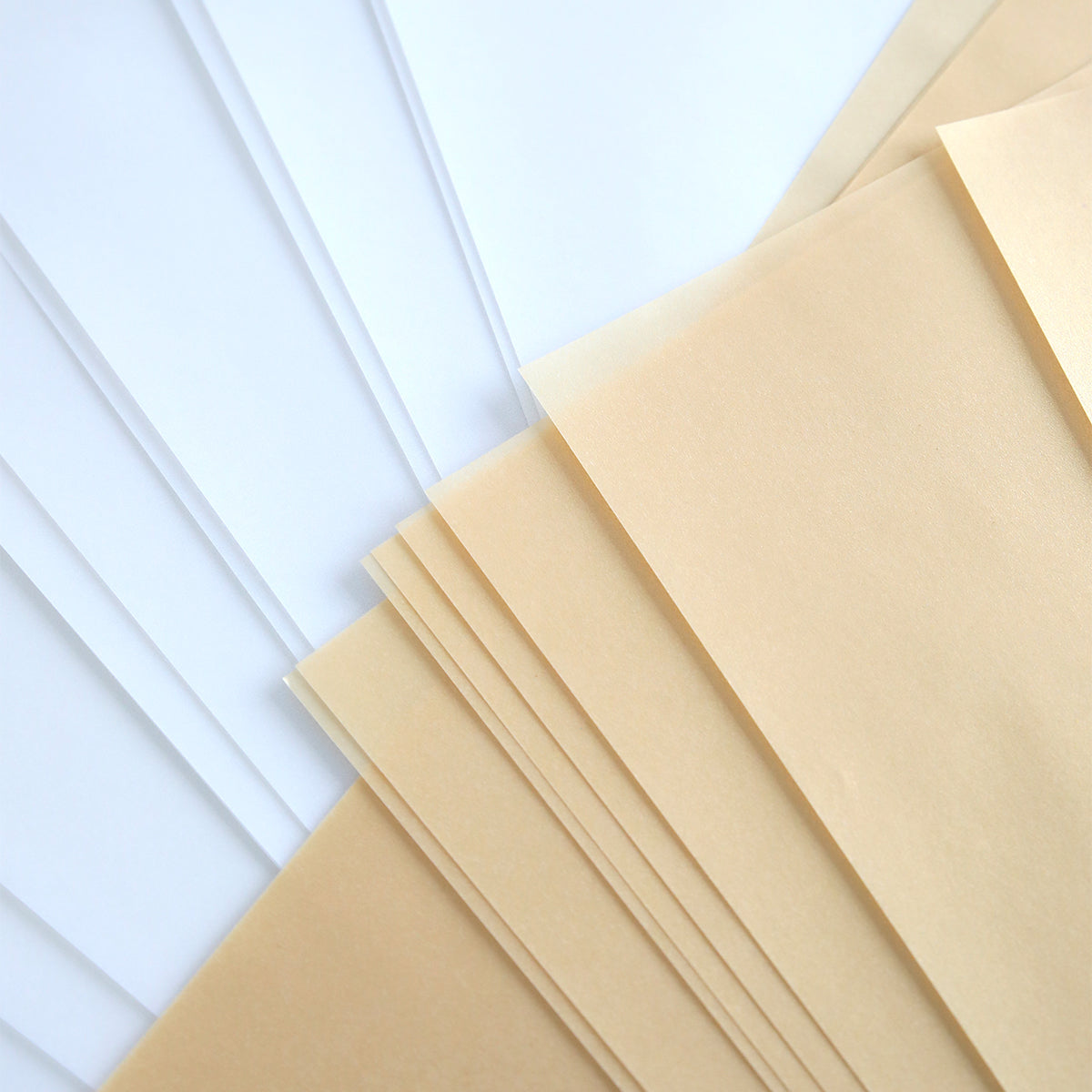 Shimmer Vellum Papers