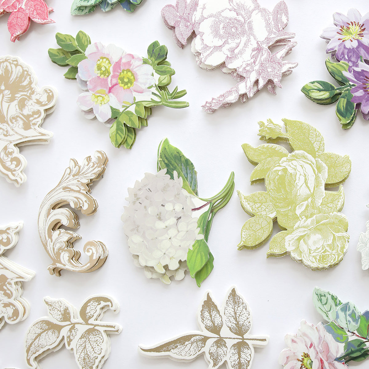 Antique Botanical Embellishments
