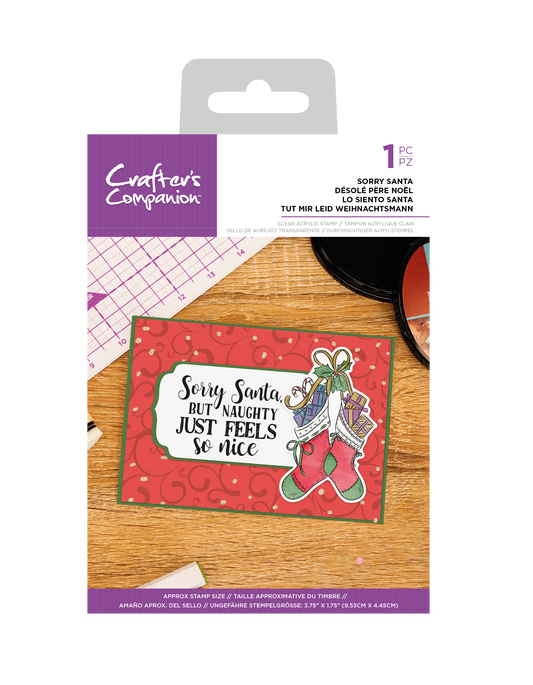 CC - Clear Acrylic Stamps - Sorry Santa