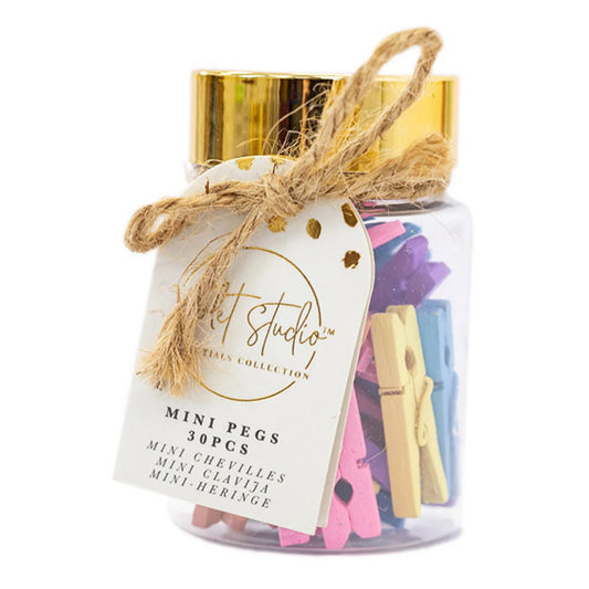 Violet Studios Mini Pegs Jar - Pastels - 30pcs