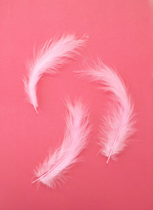 *Flamazing Flamingos - Feathers
