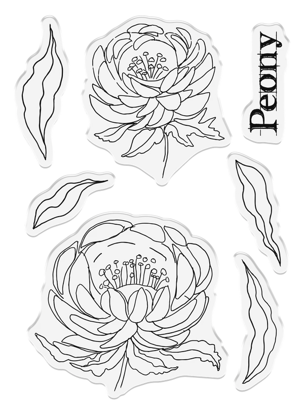 Sheena Douglass Watercolour Fusion Photopolymer Stamp - Perfect Peony