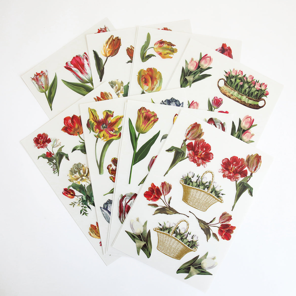Tulip Rub On Transfers