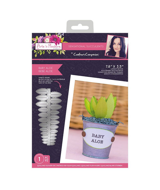 Sharon Callis - Sensational Succulents - Baby Aloe