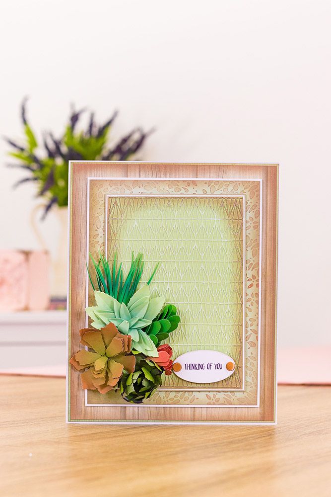 Sharon Callis - Sensational Succulents - Geo Wire Trellis