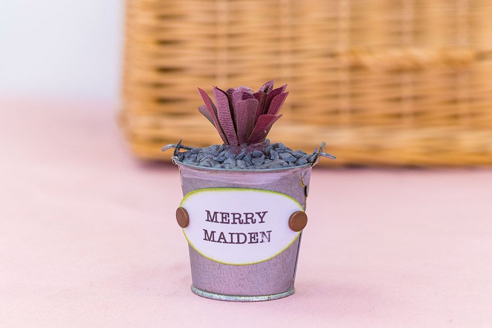 Sharon Callis - Sensational Succulents - Merry Maiden