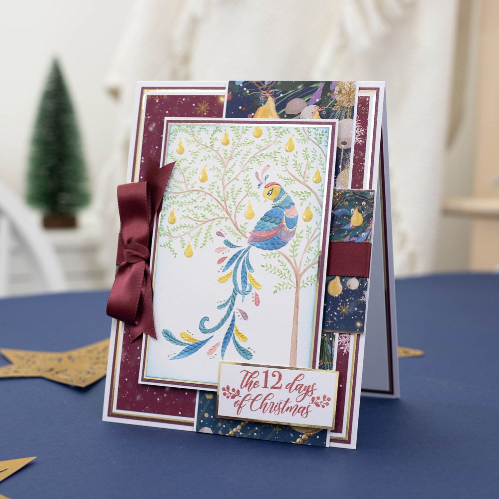 Twelve Days of Christmas 2D Embossing Folder - Partridge in a Pear Tree