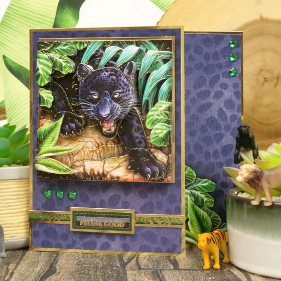 Into the Wild Deco-Large Set - Have a Wild Day