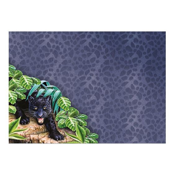 Into the Wild Deco-Large Set - Have a Wild Day