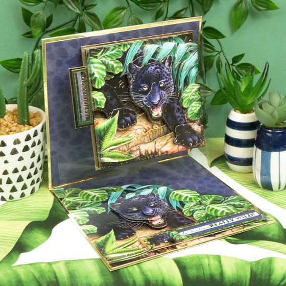 Into the Wild Deco-Large Set - Have a Wild Day