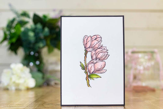 Spectrum Noir TriBlend Markers - Pale Pink Blend