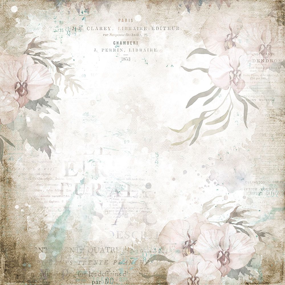 CC - Belle Countryside - 12"x12" Printed Paper Pad