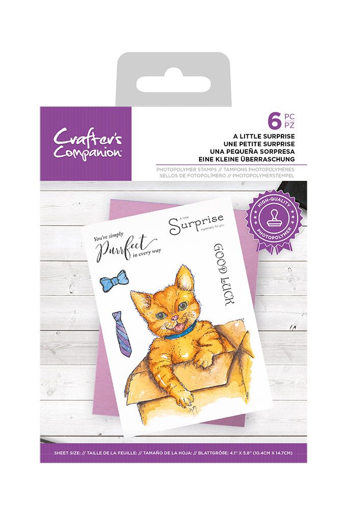 Crafters Companion Photopolymer Stamp - A Little Surprise