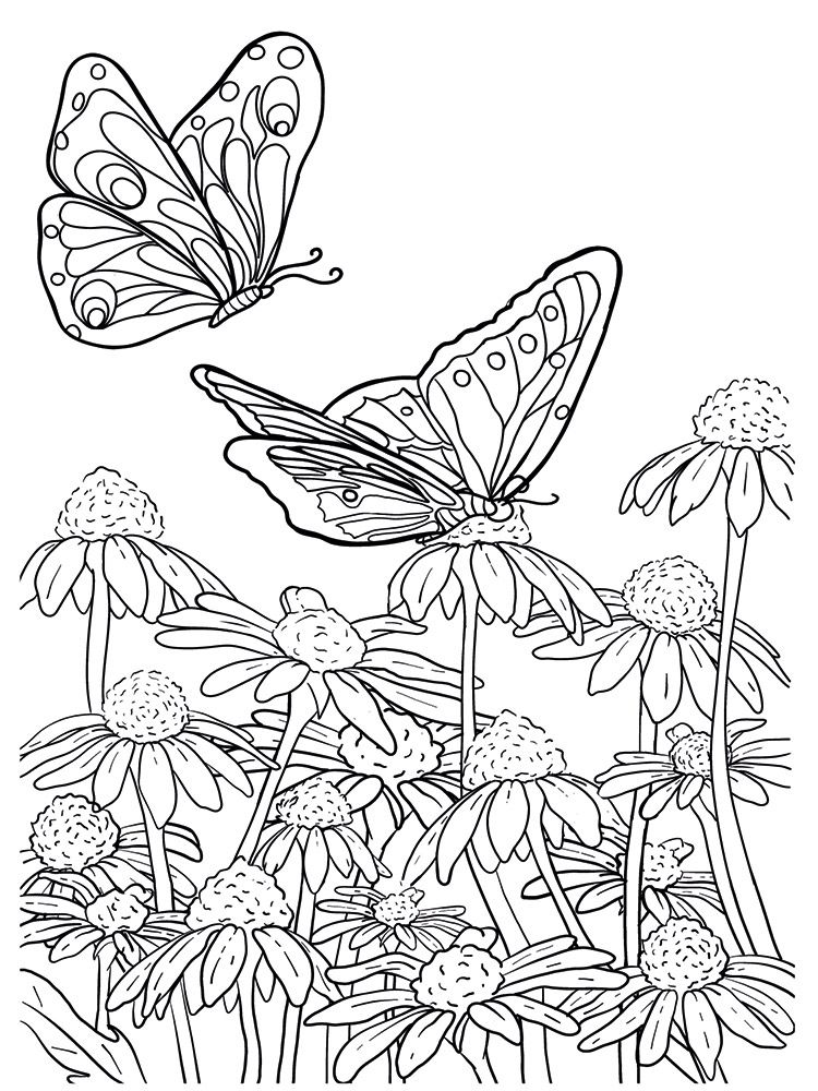Crafters Companion Card Front Colouring Pads 3.75"X5- Butterflies And Botanics