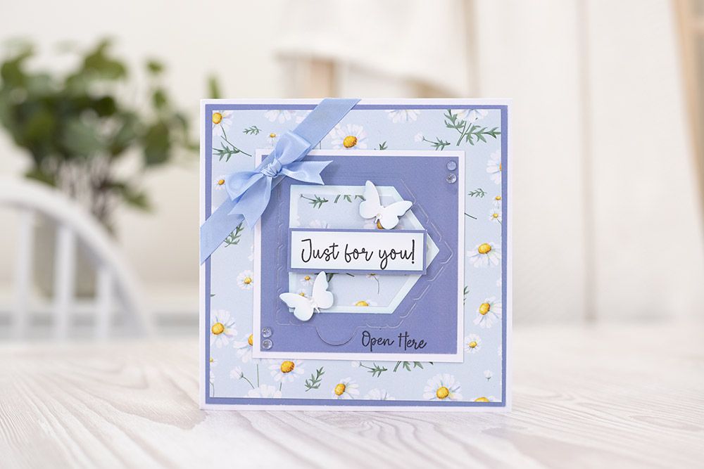 Crafters Companion Monthly Craft Kit - Door Reveal Dies Craft Kit - Box 56