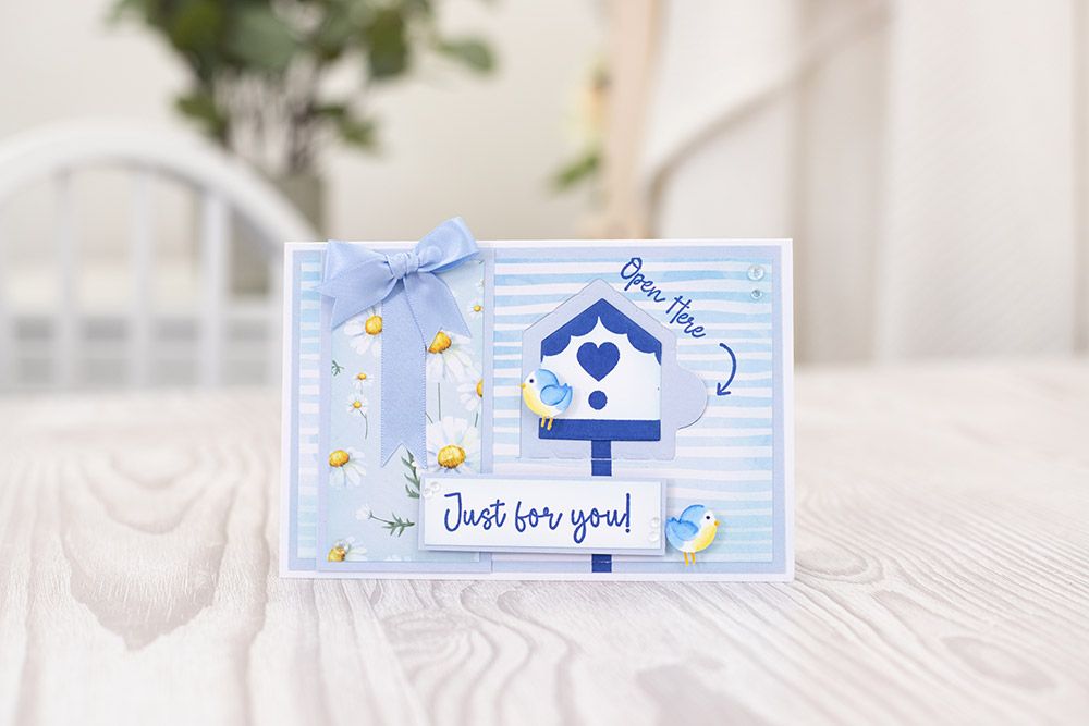Crafters Companion Monthly Craft Kit - Door Reveal Dies Craft Kit - Box 56
