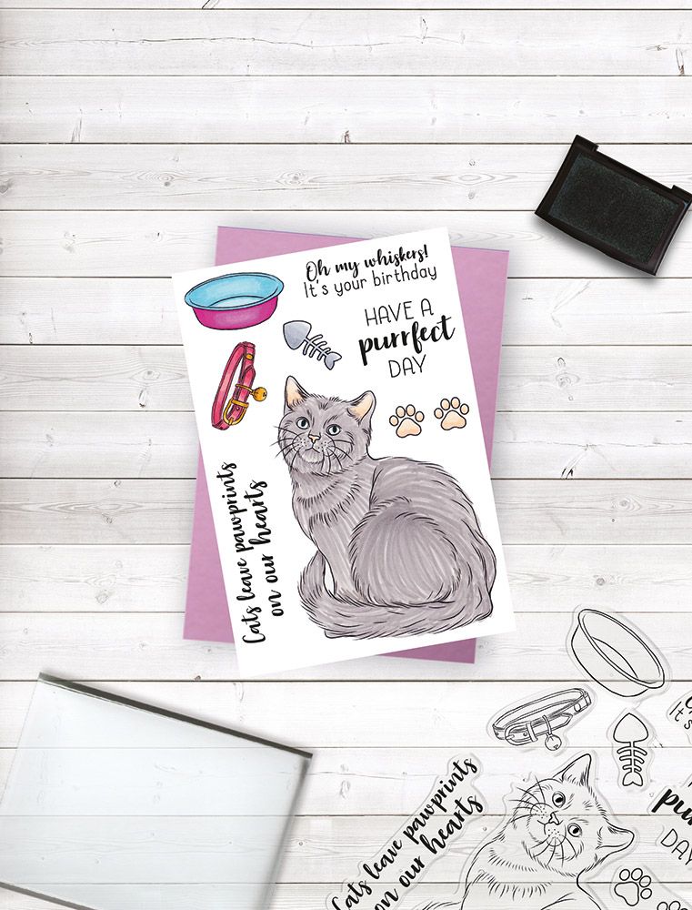 Crafters Companion - Photopolymer Stamp - A Purrfect Day