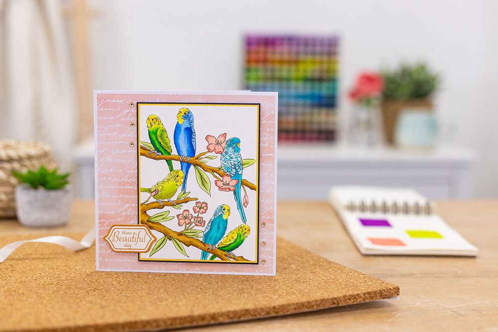 Crafters Companion Card Front Colouring Pads 3.75"X5- Floral Flight