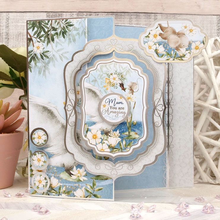 Swan Lake Deluxe Card Collection