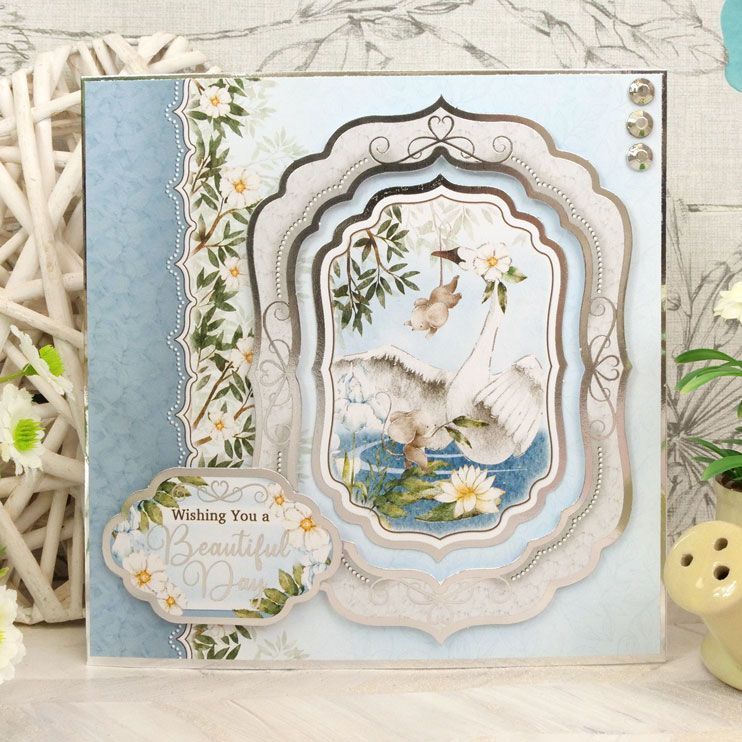 Swan Lake Deluxe Card Collection