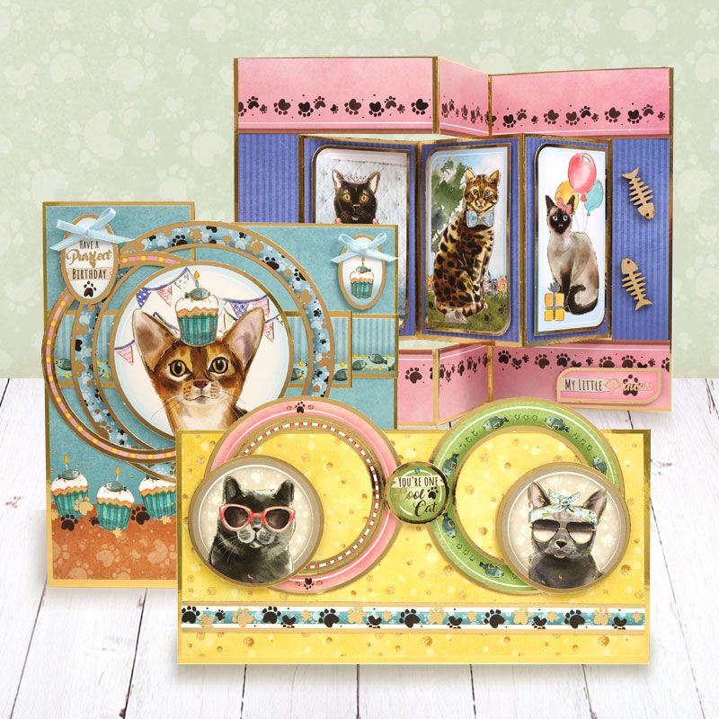 Curious Cats Luxury Topper Collection