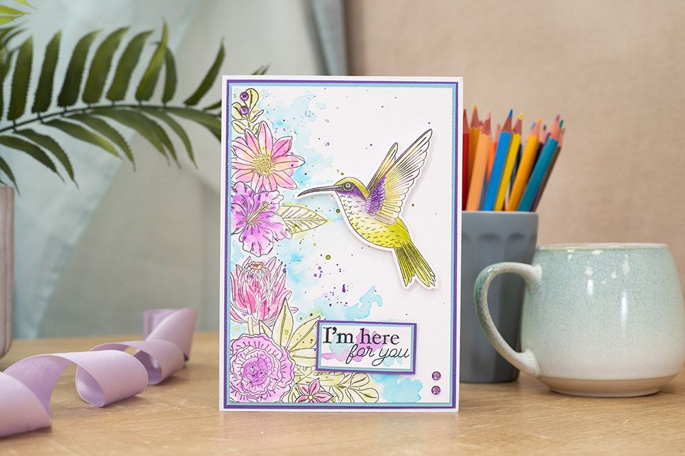 Natures Garden Hummingbird Stamp and Die â€“ Sweet Hummingbird