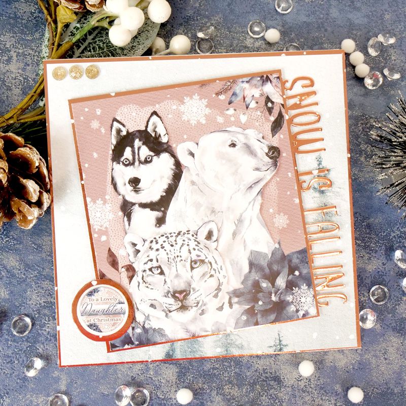 The Little Book Of Polar Animals