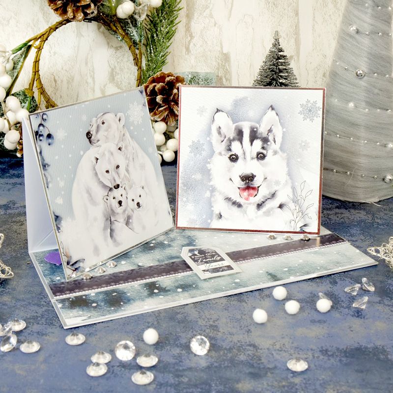 The Little Book Of Polar Animals