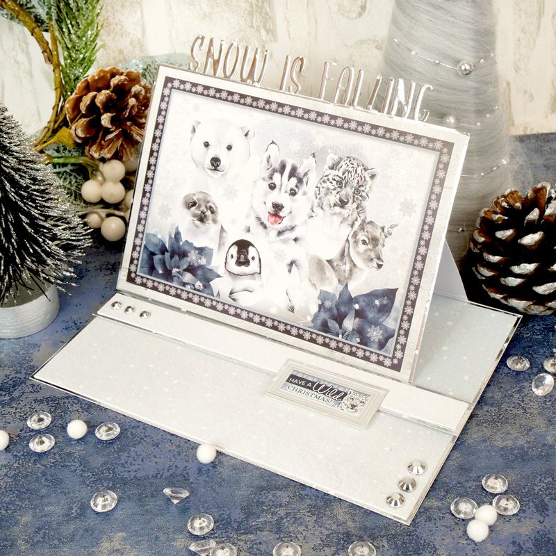 The Little Book Of Polar Animals