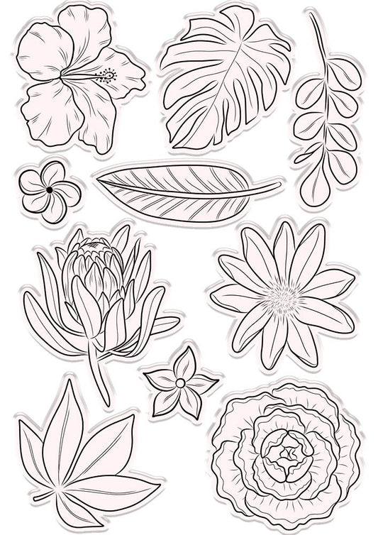 Natures Garden Hummingbird Stamp and Die - Fragrant Florals