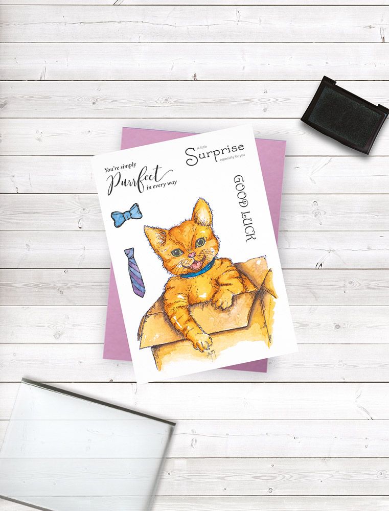 Crafters Companion Photopolymer Stamp - A Little Surprise