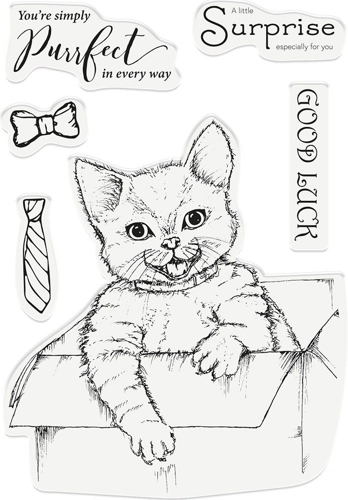 Crafters Companion Photopolymer Stamp - A Little Surprise