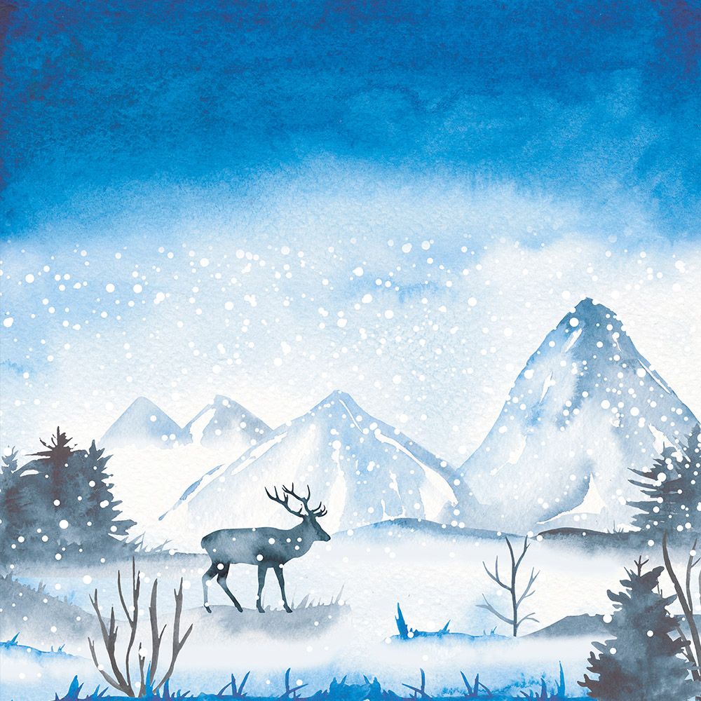 The Reindeer Collection - 12x12 Paper Pad