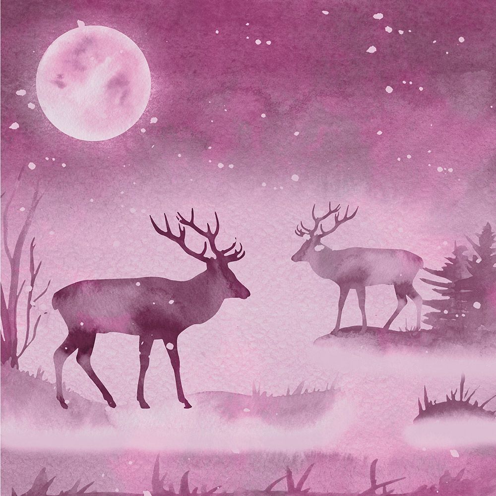 The Reindeer Collection - 12x12 Paper Pad