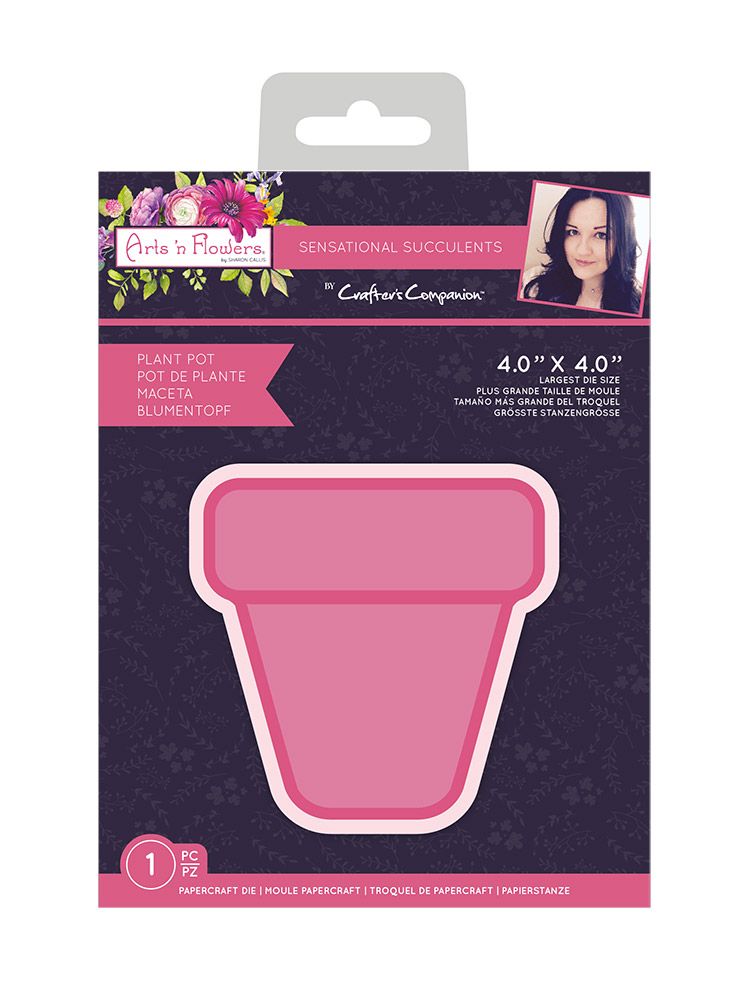 Sharon Callis - Sensational Succulents - Plant Pot