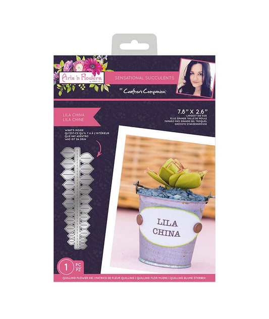 Sharon Callis - Sensational Succulents - Lila China