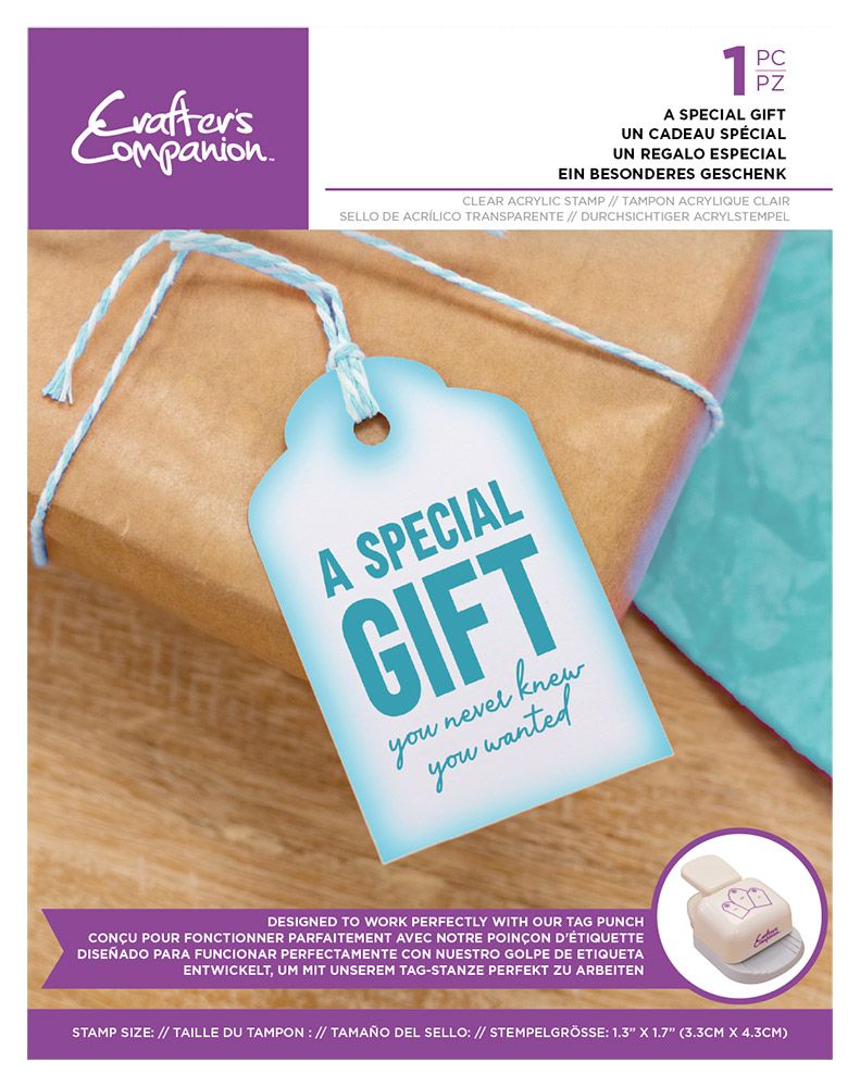 Crafters Companion Sentiment Tag Clear Acrylic Stamp - A Special Gift